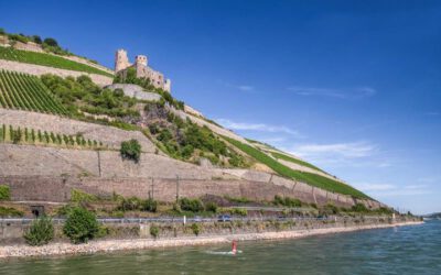 Vindistriktet Rheingau i Tyskland