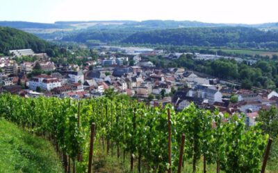 Vindistriktet Mosel-Saar-Rüwer i Tyskland