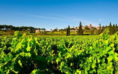 Vindistriktet Rhone Nord i Frankrike