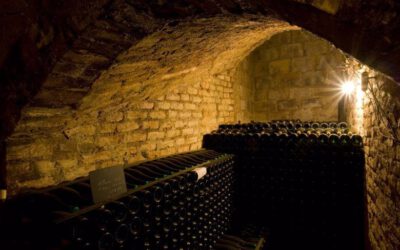 Vindistriktet Champagne i Frankrike