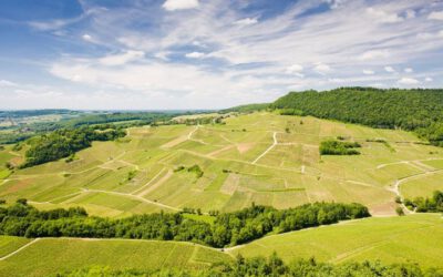 Vindistriktet Jura i Frankrike