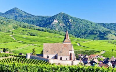 Vindistriktet Alsace i Frankrike