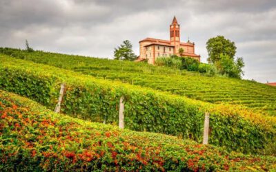 Vindistriktet Piemonte i Italia