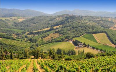 Vindistriktet Toscana i Italia