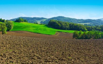 Vindistriktet Lazio iItalia