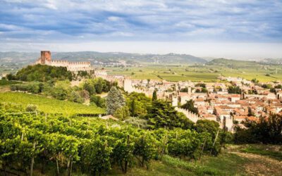 Vindistriktet Veneto i Italia