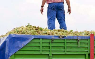 Vindistriktet Castilla i Spania