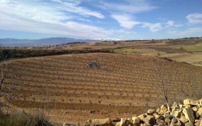 Vindistriktet Navarra i Spania