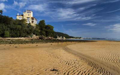 Vindistriktet Setubal – Terras do Sado i Portugal