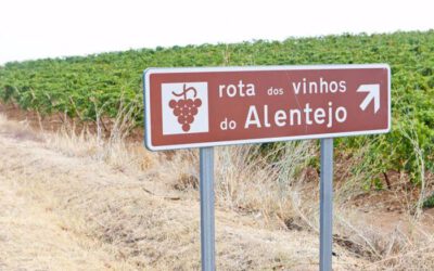 Vindistriktet Alentejo i Portugal